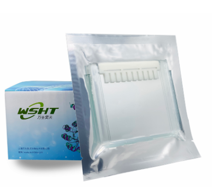 Гель полиакриламидный готовый Precast gel Plus, 1,5 мм, 10 лунок, в стекле