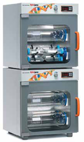 Инкубатор гибридизационный, макс. загрузка 16 мини-бутылей, до + 80 °C, HB-3D Hybrigene, в комплекте 4 бутыли