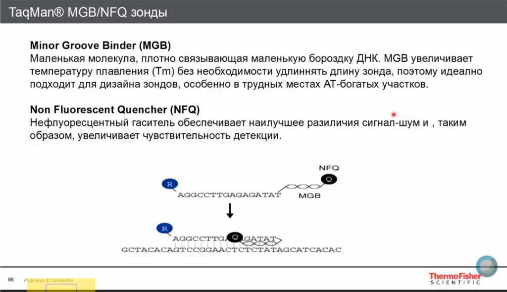 Зонд TaqMan