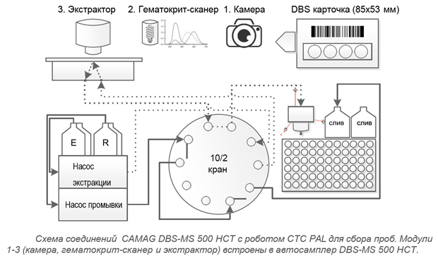 Схема соединений Camag DBS-MS 500 HCT с роботом CTC PAL для сбора проб. Модули 1-3 (камера, гематокрит-сканер и экстрактор) встроены в Camag DBS-MS 500 HCT
