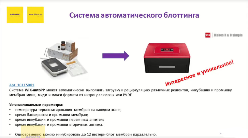 Уникальные позиции от WIX
