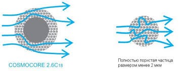 По структуре зерна обычные сорбенты различаются на полностью пористые (FPP), представляющие собой «большую» сферу, состоящую из «маленьких» сфер, и поверхностно пористые (CoreShell), представляющие из себя сферу с большой монолитной сердцевиной, покрытой снаружи «маленькими» сферами силикагеля.