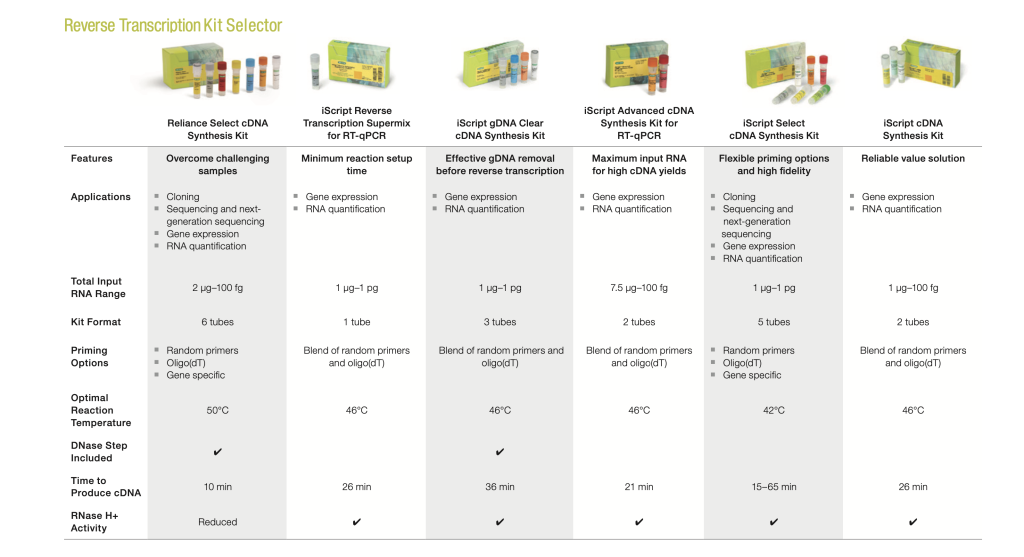 Reverse Transcription Kit Selector, Bio-Rad, таблица, англ.