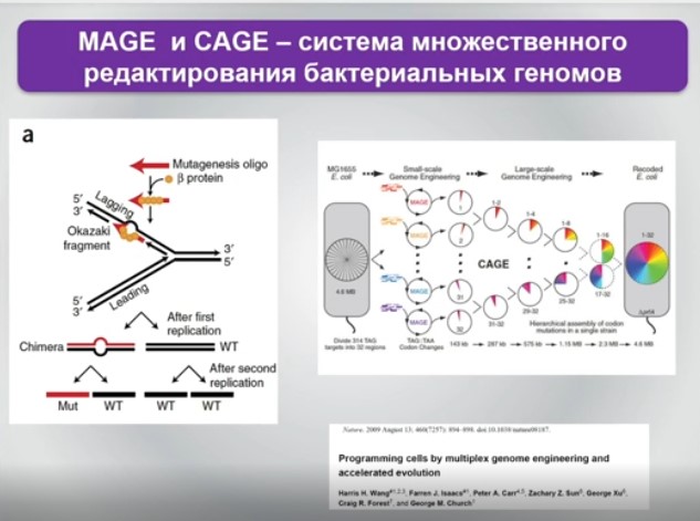 Mage и Cage
