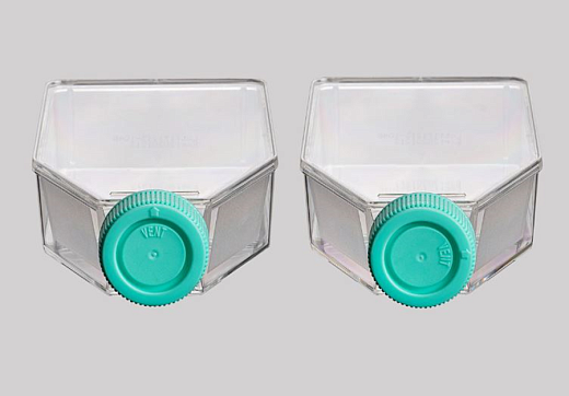 Флаконы культуральные 182 см², вентилируемая крышка, обработанная поверхность (CellDETACH), полистирол, стерильные,  Jet Biofil, Китай