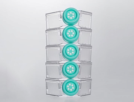 Флаконы культуральные, вентилируемая крышка, необработанная поверхность, полистирол, Jet Biofil, Китай