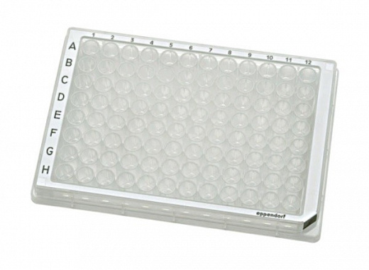 Планшет для хранения, 96 лунок, V-образное дно, PCR clean, белая рамка, 80 шт., Eppendorf