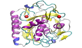 Протеиназа К для молекулярной биологии, рекомбинантная, лиофилизированная форма, 30 ед/мг, diaGene, Россия