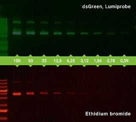 Краситель dsGreen раствор для прокраски гелей, 10000x, 1 мл, Lumiprobe