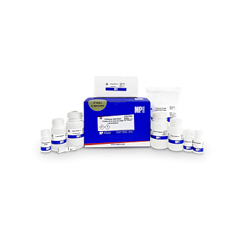 Набор для выделения ДНК, РНК и белка из одного и того же образца на спин-колонках из различных биологических образцов SPINeasy DNA/RNA/Protein All-In-One, МИНИ