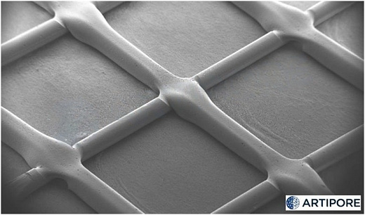 Диски для 3D культивирования полученные методом электроформования, выровненные нановолокна, материал нанесен радиально, толщина подложки 18 мкм, 24 луночный планшет