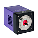 Камера цифровая цветная, 1,7 Мп, USB 3.0, CLM50, Magus (порты)
