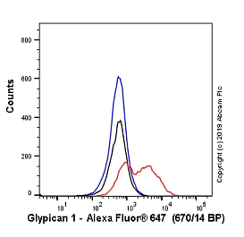 Антитела Recombinant Anti-Glypican 1/ GPC1, 100 мкл, Abcam