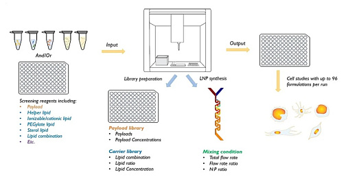 Flex S Plus схема