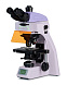 Микроскоп люминесцентный Magus Lum 400L, прямой, тринокуляр, СП, ТП, планахромат 4×, 10×, 40×, 100× (вид сзади)