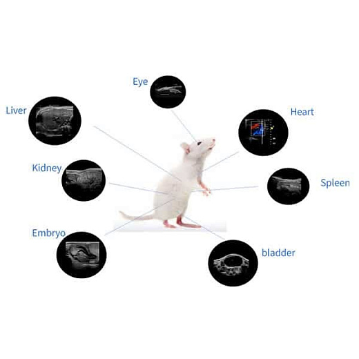 Ультразвуковой сканер, для работы с кроликами и мышами, RevoSilex F30, RWD Life Science, Китай