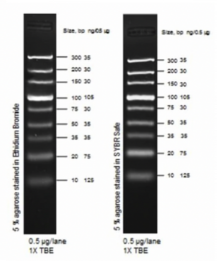 Маркер длин ДНК TrackIt Ultra Low Range, 9 фрагментов от 10 до 300 п.н; готовый к применению; 0,5 мкг/мкл Фото 1