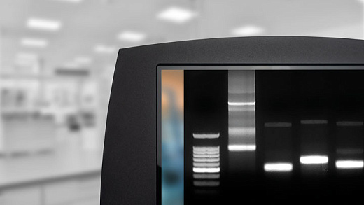 Изображение полос на экране Doc-Print CX3, Vilber