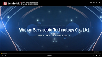 О компании, Servicebio, русс., 2024 г.