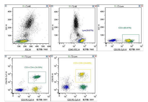 Набор для фенотипирования основных субпопульяции лимфоцитов, подсчёта абсолютного количество в крови, и определения уровня их активации (Рисунок 1).