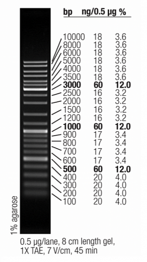 Маркер длин ДНК GeneRuler Mix, 21 фрагмент от 100 до 10000 п.н., готовый к применению, 0,1 мкг/мкл