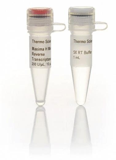 Транскриптаза обратная Maxima H minus
