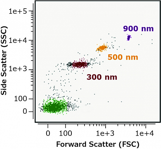 Проточный цитофлуориметр, до 7 лазеров, до 20 флуоресцентных параметров, с визуализацией, Amnis CellStream Фото 2