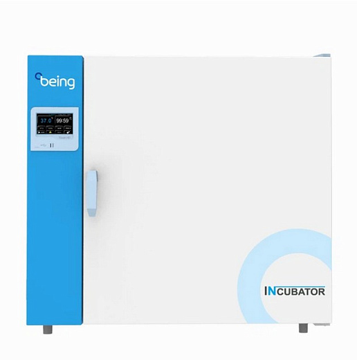 Термостат, до +80 °С, 222 л, камера из нержавеющей стали, touch screen контроллер, естественная вентиляция, Being, Китай