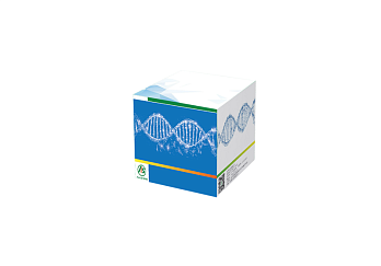 Набор ssDNA для количественного определения олигонуклеотидов ДНК, 100 реакций