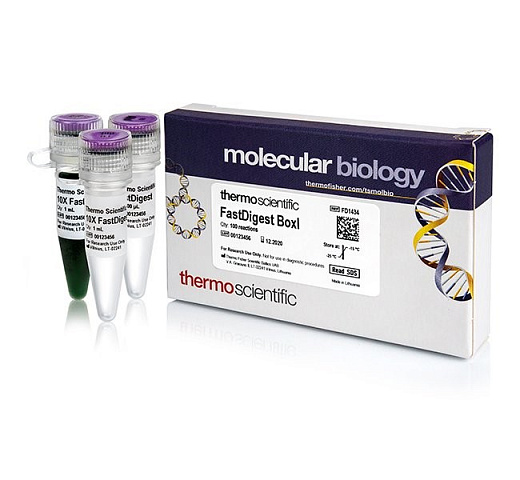 Эндонуклеаза рестрикции BoxI Fast Digest для ускоренного гидролиза ДНК, Fermentas