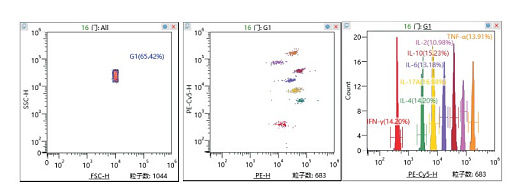 Рисунок 1. Схема анализа изучения цитокинов IFN-γ, IL-1β, IL-2, IL-4 Assay reagen IL-6, IL-8, IL-10, IL-17, IL-12p70,TNF-α.