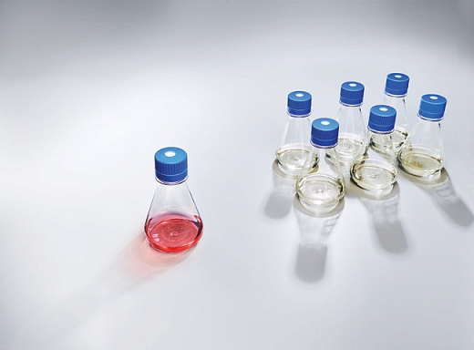 Колба Эрленмейера 2000 мл, ПЭТГ, Thermo FS