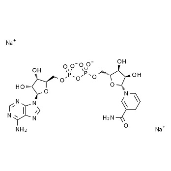 НАДН-Na₂ (Никотинамид-β-аденин динуклеотид динатриевая соль, NADH-Na₂), не менее 98%, 250 мг, Servicebio