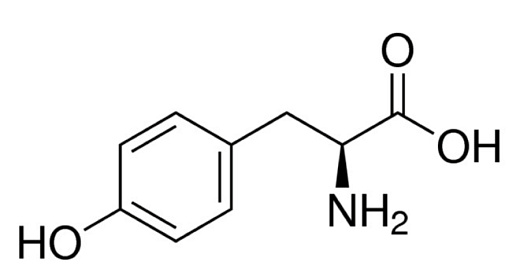 Тирозин-L, 99%