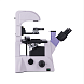 Микроскоп биологический инвертированный, тринокуляр, MAGUS Bio V350 (вид спереди)