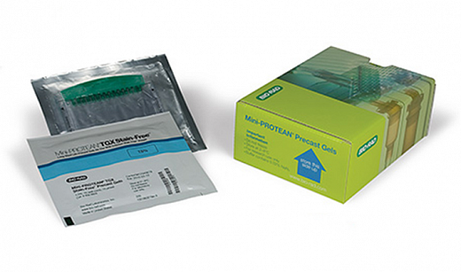 Гель полиакриламидный готовый Mini-Protean TGX Stain Free, 8,6 х 6,7 см, 12 лунок, 20 мкл, 10%