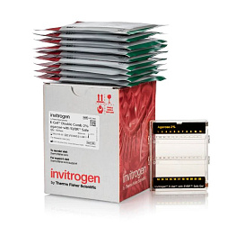 Гель агарозный готовый E-Gel Double Comb Agarose Gels with SYBR Safe DNA Gel Stain, 2%, 10 шт./уп.
