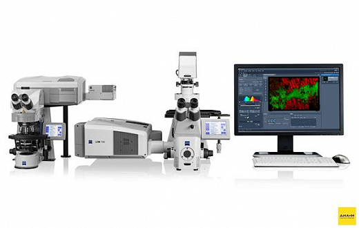 Микроскоп конфокальный LSM 710, лазерный сканирующий