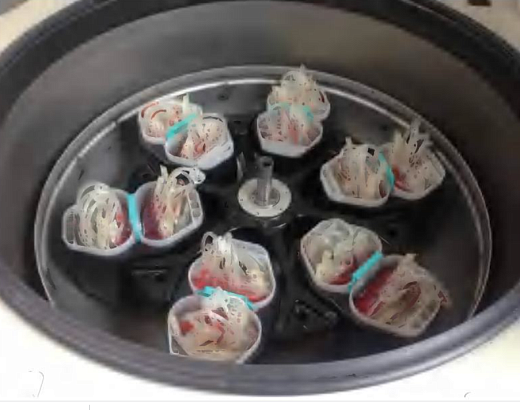 Ротор-бакет, 4000 об/мин, 5800g, 12×400/500 мл blood bag, Drawell, Китай