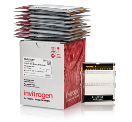 Гель агарозный готовый E-Gel EX Double Comb, 1%, 10 шт./уп.