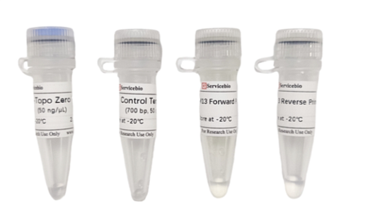 Компоненты набора для клонирования ПЦР-продуктов pSWE-Topo Zero