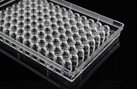 U-образное дно планшетов культуральных 96-лун., Nest, Китай