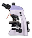 Микроскоп люминесцентный Magus Lum 400L, прямой, тринокуляр, СП, ТП, планахромат 4×, 10×, 40×, 100× (вид сзади)