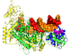 РНКаза H (Рибонуклеаза H), 5000 e.a./мл, Abclonal