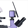Микроскоп биологический инвертированный цифровой, MAGUS Bio VD350 LCD (с подключенным монитором и камерой)