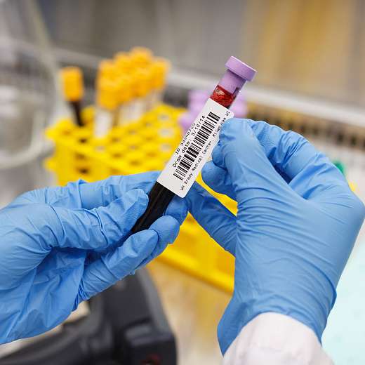 Этикетки M61-120-492 для BMP61, M611, прямоугольные 25,4 х 12,7 мм, круглые d 12,7 мм, материал FreezerBondz, 250 шт. Фото 3