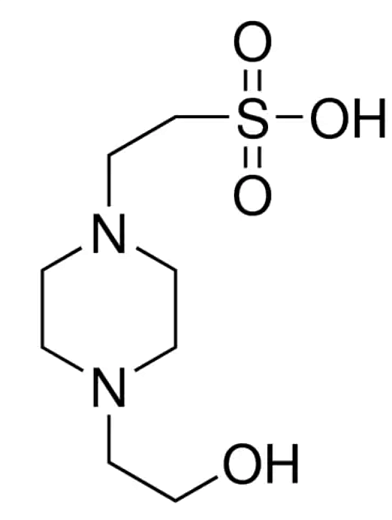 ХЕПЕС, Servicebio, ≥ 99%