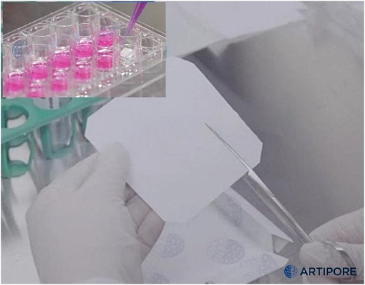 Клеточные матрицы (скаффолды) Bilaminate, невыровненные нановолокна, толщина нановолокна 12 мкм, толщина микроволокна 60 мкм