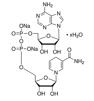 НАДН-Na2(Никотинамид-β-аденин-динуклеотид, NADH-Na2) динатриевая соль, не менее 93%, Импорт