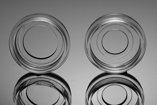 Чашка Петри 35 мм, со стеклянной вставкой 15 мм, стерильные, 10 шт./уп., 200 шт/уп, NEST, Китай